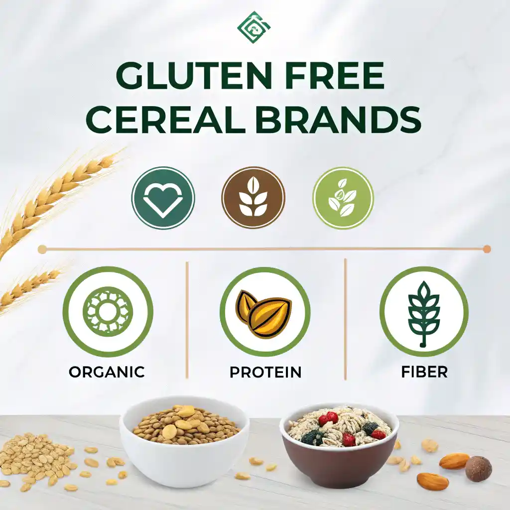 Infographic comparing top gluten free cereal brands including Nature's Path, Kellogg's and Barbara's with nutritional benefits"